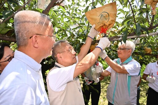 林茂盛力推宜蘭三星上將梨促買氣 邀民眾712體驗採摘