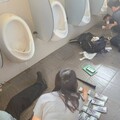 單日連逮3詐欺車手 員警尿急衝廁所驚見面交場面逮人