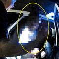 青春專案執行巡邏 接連查獲2毒品案