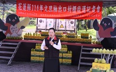 花蓮文旦柚出口直通沃爾瑪零售 結合國際布局、品牌行銷三箭齊發