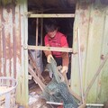 2公尺臭青母闖農舍困魚網 動保員左抓蛇右剪網救援