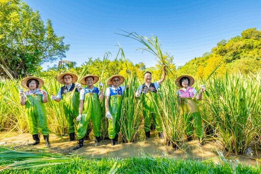 推廣三坑茭白筍 蘇俊賓：好水好土好技術造就全台最高品質