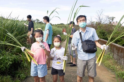 在地料理迎「茭」客 新北三芝茭白筍節下周六登場