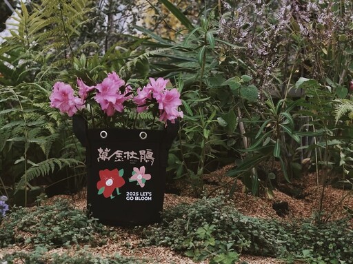 秋遊新北萬金 杜鵑小旅行限量優惠中