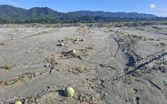 農業部公告鳳林鎮西瓜、玉米納現金救助 花蓮縣府受理至11/21止