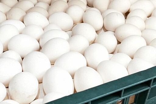 9品項芬普尼雞蛋遭令下架回收 高嘉瑜批連鎖龍頭應負起企業責任