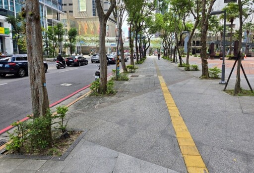 搶在耶誕城前點亮市府門面 新北工務局升級人行步道完工