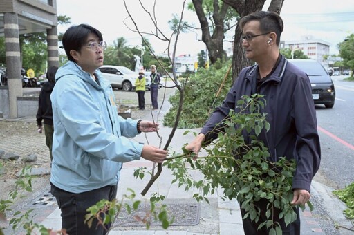 民眾反映府前路樟樹遭害蟲啃食枯萎 魏嘉彥派農觀課啟動防治