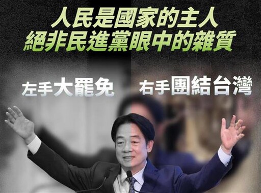 賴總統去雜質說發酵 民眾黨到總統府前抗議