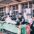 第七屆平野祭暨港都全民國防日 親子共遊體驗科學魅力