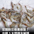 放大宏台斷交炒冷飯？全民查假會社揭白蝦出口真相