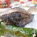 漁業署：石斑魚成功打進國際高消費市場