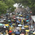 國民黨喊21日擠爆青島東 藍委擬上街給支持