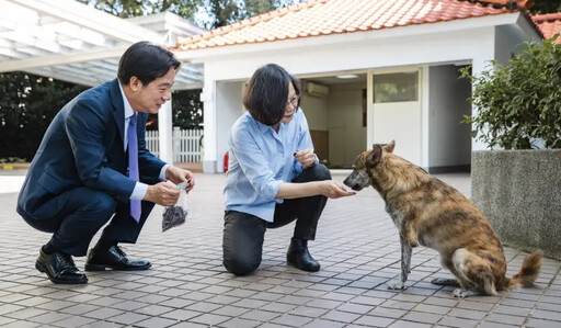 喵統領沒忘毛小孩！蔡英文送賴清德愛犬禮包