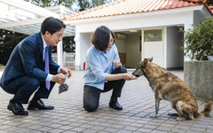 賴清德投餵愛犬「狗不理」！黃揚明揭他弱點