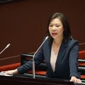 藍排審財劃法拚三讀 李彥秀這樣喊話財政部