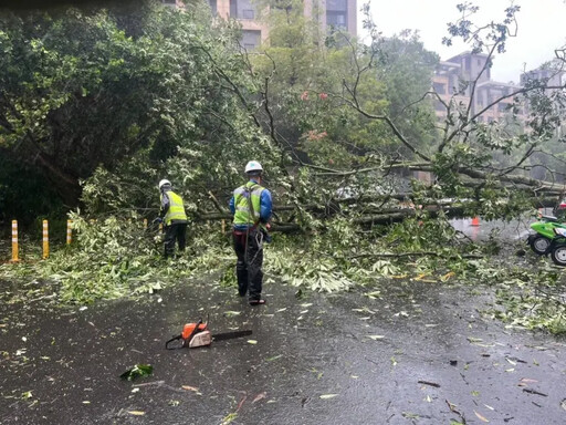 康芮吹倒路樹2101顆 北市跨局處動員助復原