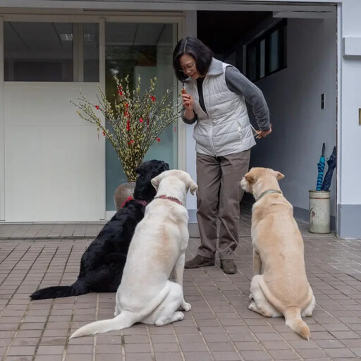 愛犬「撐到返台」辭世！蔡英文曬照網喊不捨