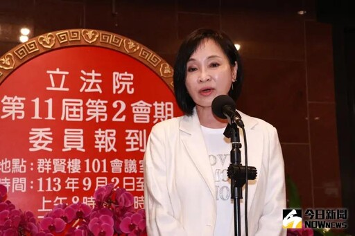 柯志恩能推翻綠地？2026南台灣參戰人選曝光