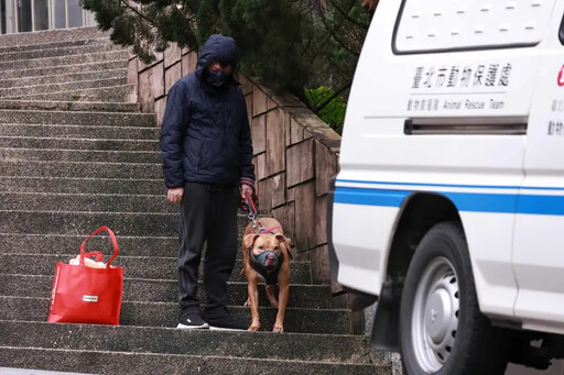 傷人比特犬已沒入 動保處：評估開放認養