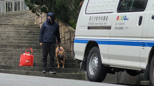 比特犬沒入第2日！飼主未繳罰款也未探望