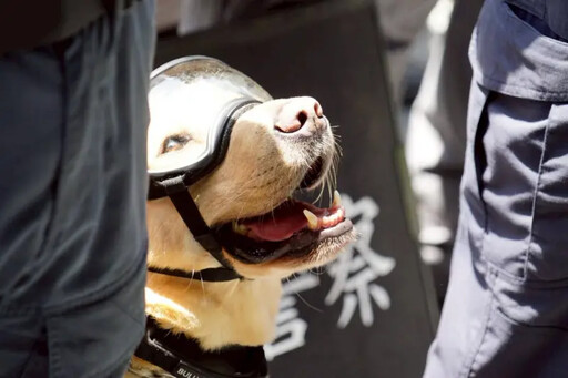 世壯運倒數!反恐消防演練攻堅營救超逼真