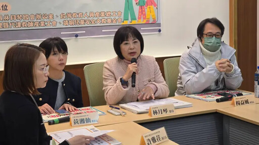 剴剴案劉姓保母認罪！綠委推動保母資格審查
