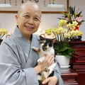 12／25將放假！釋昭慧開砲：掛羊頭賣狗肉