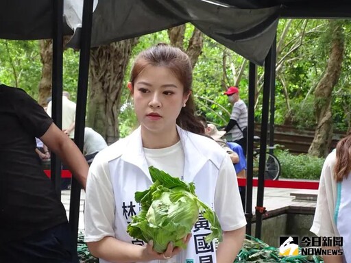 白美女刺客+1?林子宇選議員 黃國昌這樣說