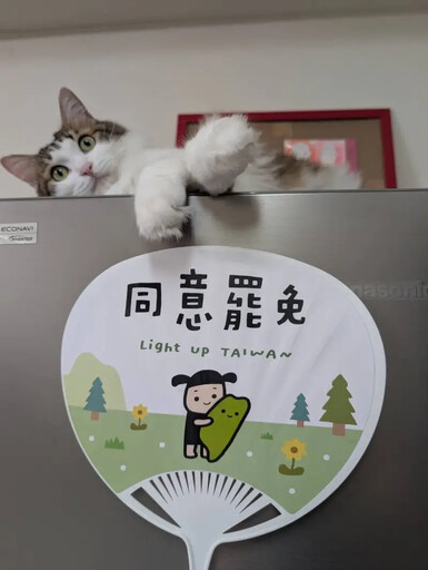 「台派寶寶」作者控羅廷瑋團隊惡意改圖