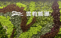 「扮金主」助賴瑞隆護航台電？雲豹回應了