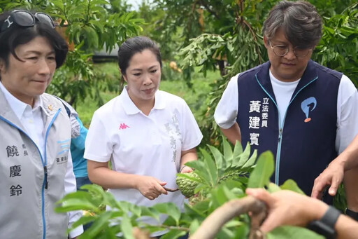 卑南族媳婦出戰 吳秀華搶攻台東縣長寶座