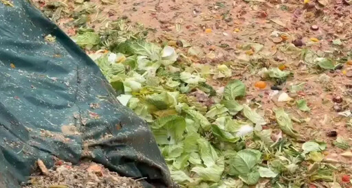 霧峰出現廚餘湖！江和樹怒：台中防疫太落伍