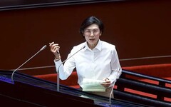 林佳龍表態挺林岱樺 他酸爆:丞相起風了