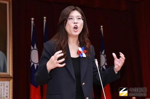 駁斥鄭麗文親中!吳宗憲民進黨:最蠢領導人