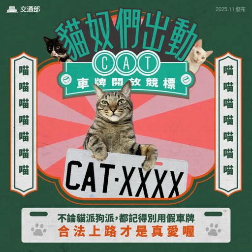 「CAT」這號碼飆28.2萬！他讚：高虹安+1