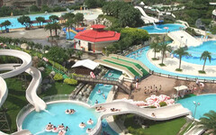 侯友宜喊重啟八仙！律師酸：不就你勒令停業