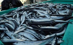 中國禁水產「漁民沒人罵」？她揭殘酷1對比