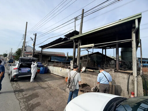 台中海線豬場偷餵廚餘 綠轟市府管理又失能