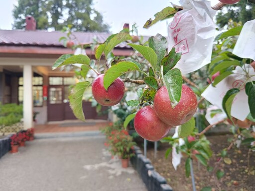 慶祝九三軍人節 三大高山農場住宿5折優待