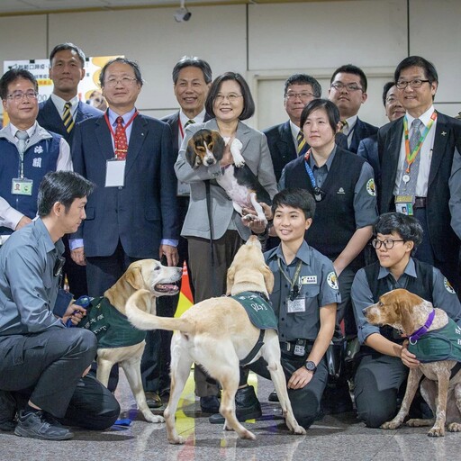 我國列非洲豬瘟非疫國 蔡英文發文感謝國人守護：屬於全體台灣人成就