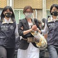 貴婦奈奈稱想照顧年邁父母而返台 移送北檢複訊