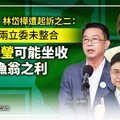 分析／林岱樺遭起訴之二：菊系兩立委未整合 邱議瑩可能坐收漁翁之利