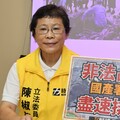 「反核變擁核」黃國昌遭諷刺立場髮夾彎 昔戰友陳椒華表態：我會投不同意