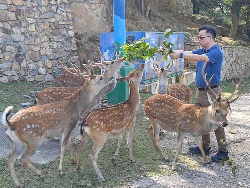 參訪馬祖大坵島 羅文嘉：願送一對台灣梅花鹿給福州動物園 追求「和平之路」