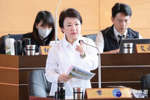 藍議員支持2028無煤中火 盧秀燕：中央執政無能，害人民用肺發電