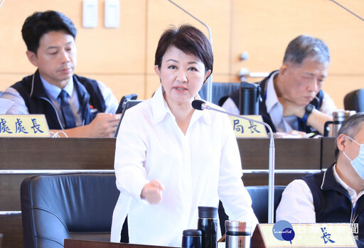 議員關注能源轉型國安風險 盧秀燕:國家依賴單一火力發電不利國安