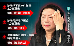 民眾黨稱徐春鶯遭押是「政治操作」 民進黨：任何人都不應違法