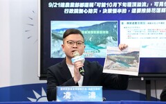 傳卓冠廷、戴瑋姍請辭民進黨發言人 凌濤：青壯世代面對「老綠男」不如歸去