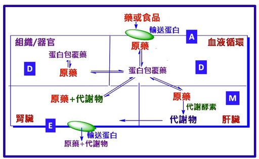 王惠珀感懷隨筆》一個科學家與歷史的不解之緣